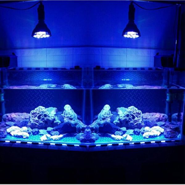 aquariums lighting black spotlight led aquarium light pet fish tank lamp plant bulb 50/54w for saltwater marine coral reef sump algae
aquariums lighting black spotlight led aquarium light pet fish tank lamp plant bulb 50/54w for saltwater marine coral reef sump algae