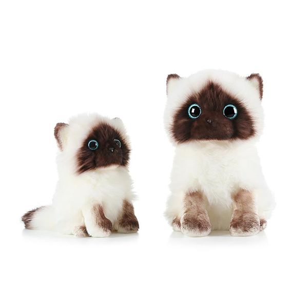 20/26cm simulation siamese cat plush toy blue sequins eyes dolls brown and white face ragdoll cats home decor cute gift for baby party favor
20/26cm simulation siamese cat plush toy blue sequins eyes dolls brown and white face ragdoll cats home decor cute gift for baby party favor