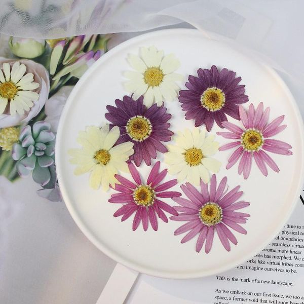 decorative flowers & wreaths 6pcs/lot 3 to 4cm dried real natural preserved for resin jewellery pressed marguerite de valois plant card diy
decorative flowers & wreaths 6pcs/lot 3 to 4cm dried real natural preserved for resin jewellery pressed marguerite de valois plant card diy