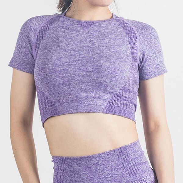 seamless yoga fitness women short sleeve crop workout shirt solid sportswear gym running sports cycling t-shirts outfit
seamless yoga fitness women short sleeve crop workout shirt solid sportswear gym running sports cycling t-shirts outfit