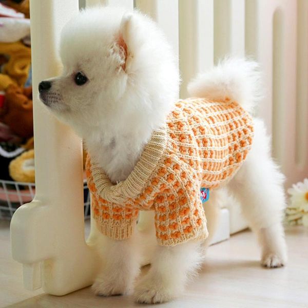 dog apparel warm cat knitted sweater winter clothes pets orange color wafer autumn puppy costume
dog apparel warm cat knitted sweater winter clothes pets orange color wafer autumn puppy costume