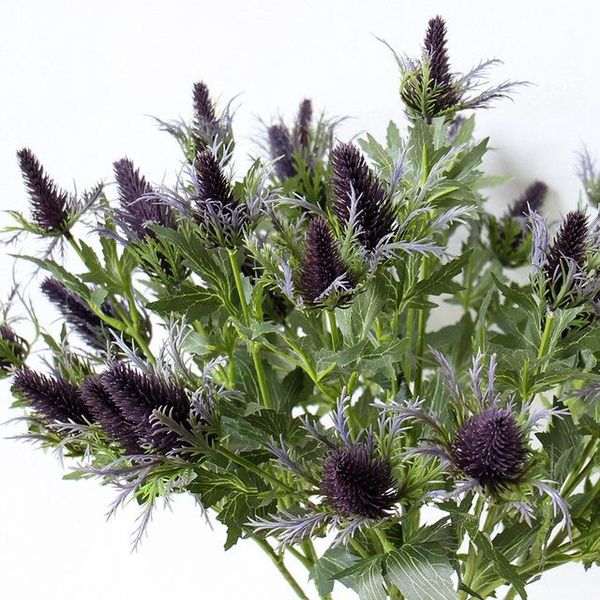 decorative flowers & wreaths 1pc simulation eryngium plant plastic artificial flower creative art arrangement material
decorative flowers & wreaths 1pc simulation eryngium plant plastic artificial flower creative art arrangement material