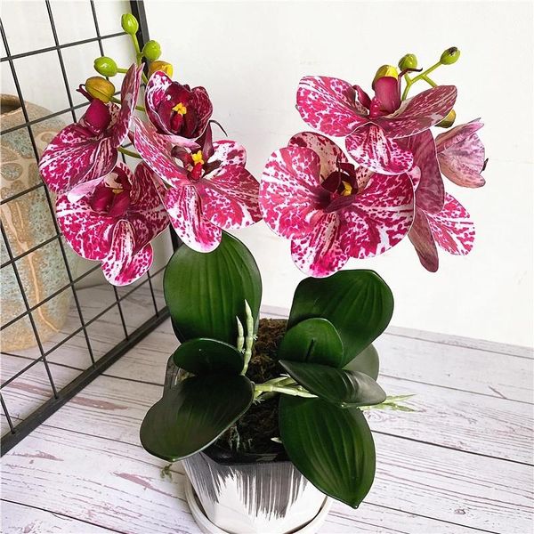 decorative flowers & wreaths 1pcs orchid mini branches with stems and leaves artificial phalaenopsis vase home decoration wedding
decorative flowers & wreaths 1pcs orchid mini branches with stems and leaves artificial phalaenopsis vase home decoration wedding