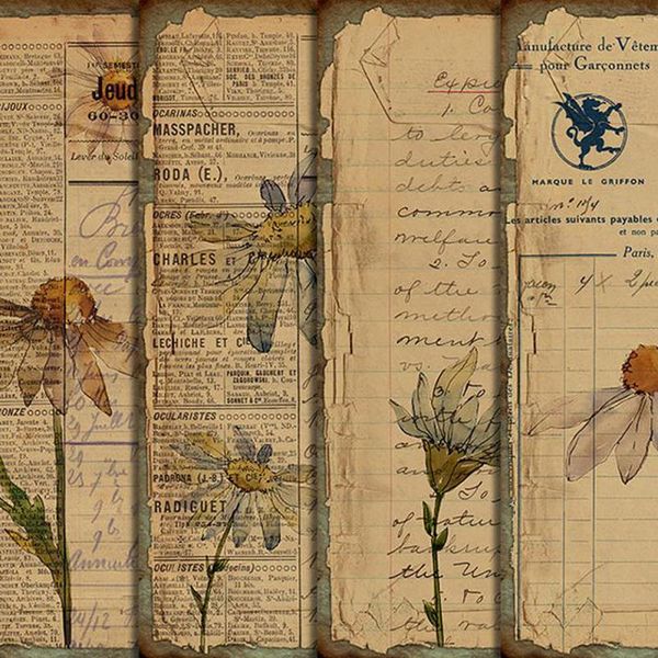 gift wrap 14x19cm 1pc random vintage plants pattern background stickers for scrapbooking hand account crafts materials
gift wrap 14x19cm 1pc random vintage plants pattern background stickers for scrapbooking hand account crafts materials