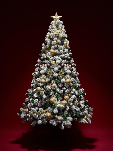 christmas decorations 1.5m encrypted tree luxury family gift year artificial for kids arbol de navidad home decoration 50
christmas decorations 1.5m encrypted tree luxury family gift year artificial for kids arbol de navidad home decoration 50