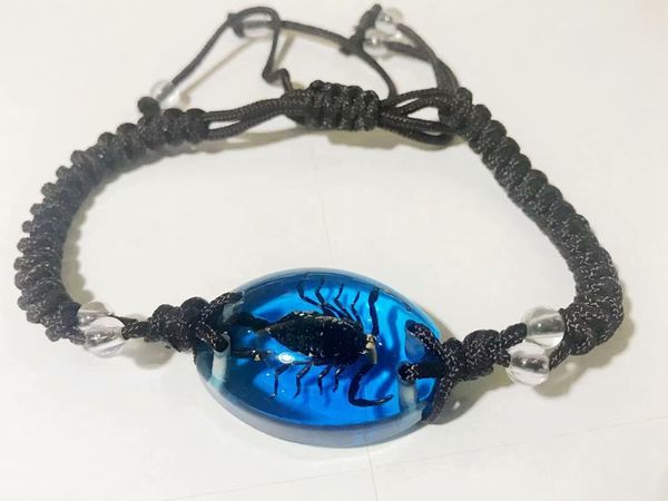 10 pcs blue color bracelet accessories real black scorpions men's jewelry special gift on hand, Golden;silver
10 pcs blue color bracelet accessories real black scorpions men's jewelry special gift on hand, Golden;silver