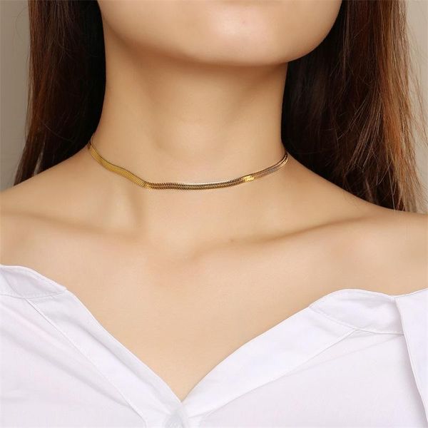 3mm 4mm snake chain necklace choker necklaces flat stainless steel fashion women jewery chokers, Golden;silver
3mm 4mm snake chain necklace choker necklaces flat stainless steel fashion women jewery chokers, Golden;silver