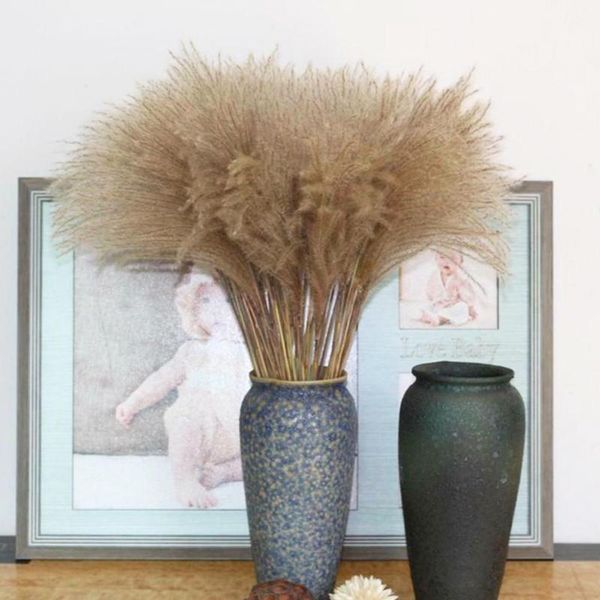 30-40cm pampas grass reed dry flower bouquet wedding decoration dried real living room floor home furnishings shooting decorative flowers &
30-40cm pampas grass reed dry flower bouquet wedding decoration dried real living room floor home furnishings shooting decorative flowers &