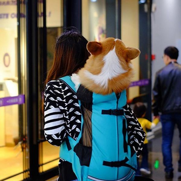 pet outdoor backpack medium dog breathable sport bag pocket cat carrier for traveling car seat covers
pet outdoor backpack medium dog breathable sport bag pocket cat carrier for traveling car seat covers