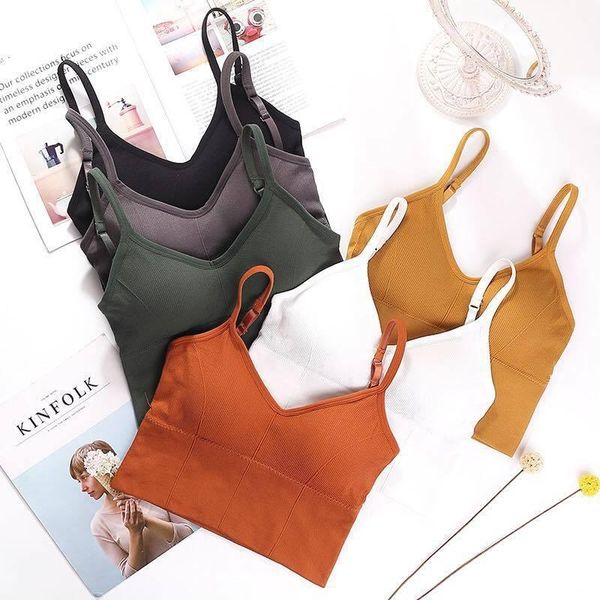 yoga outfit women sports bras fast dry elastic padded gym running skeep bra solid color fitness sport breathable
yoga outfit women sports bras fast dry elastic padded gym running skeep bra solid color fitness sport breathable