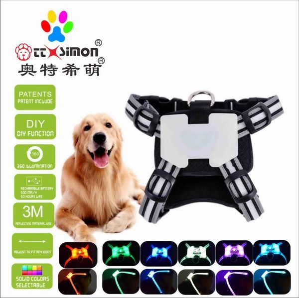 dog collars & leashes cc simon dogled unique products led collar pet light up night puppy lead pets vest xl for large
dog collars & leashes cc simon dogled unique products led collar pet light up night puppy lead pets vest xl for large