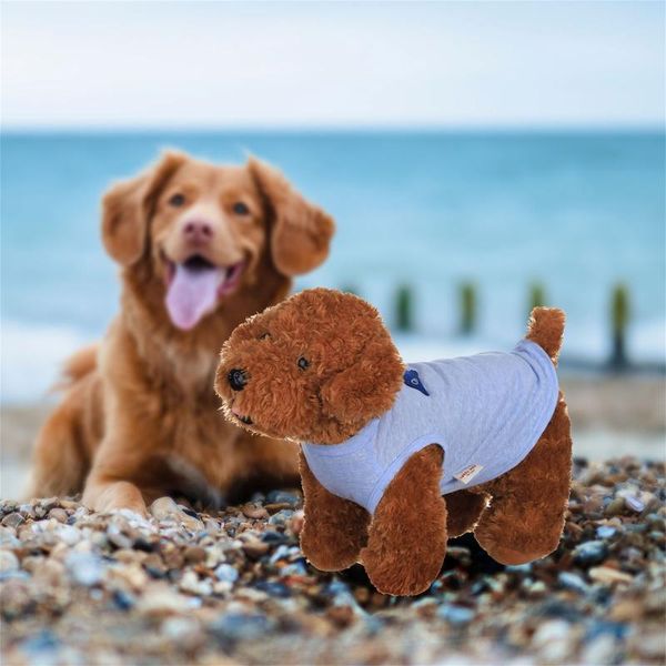cat costumes easy to dry gatos breathable and soft home accessories dolphin pattern cotton vest dog decor
cat costumes easy to dry gatos breathable and soft home accessories dolphin pattern cotton vest dog decor