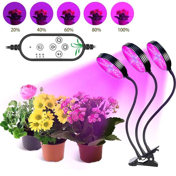full spectrum 3 head led grow light phytolamps usb with timer deskclip lamps for plants flowers box lights
full spectrum 3 head led grow light phytolamps usb with timer deskclip lamps for plants flowers box lights