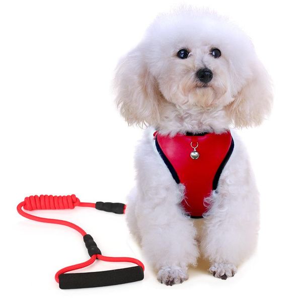 dog collars & leashes pet cat products breathable bells leads vest harnesses goods
dog collars & leashes pet cat products breathable bells leads vest harnesses goods