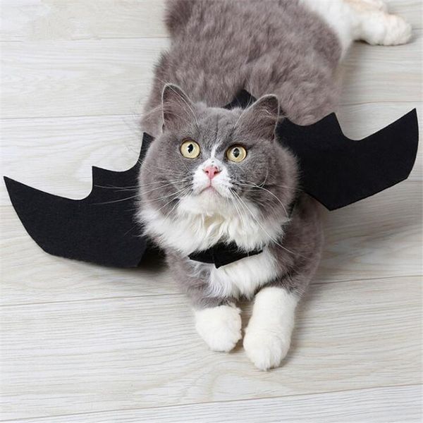 fashion cat costume hallowmas cats clothes festival bat style clothing apparel coat jacket for kitten little dog puppy costumes
fashion cat costume hallowmas cats clothes festival bat style clothing apparel coat jacket for kitten little dog puppy costumes