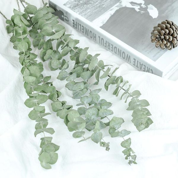 decorative flowers & wreaths natural eucalyptus leaves branches stems dried flower real palnt ornament for diy wedding shooting prop home de
decorative flowers & wreaths natural eucalyptus leaves branches stems dried flower real palnt ornament for diy wedding shooting prop home de