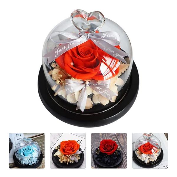 eternal rose decor preserves immortal flowers in glass cap romantic gift wrap
