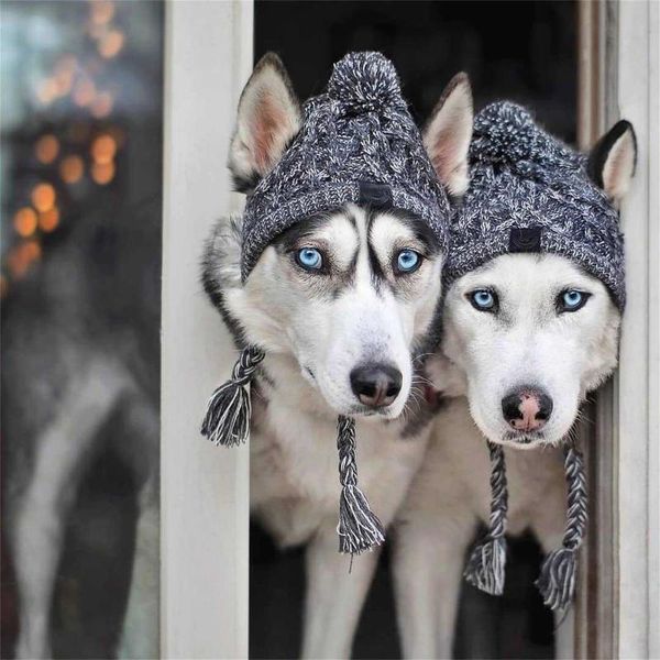 dog apparel winter hat adorable warm cap for beanies with pompon crocheted snood clothes dogs caps party gift
dog apparel winter hat adorable warm cap for beanies with pompon crocheted snood clothes dogs caps party gift