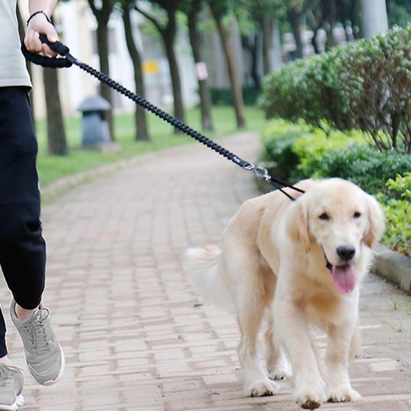dog chain high-elastic pet leash extendable running springs soft padded leashes retractable training leads#bl5 collars &
dog chain high-elastic pet leash extendable running springs soft padded leashes retractable training leads#bl5 collars &