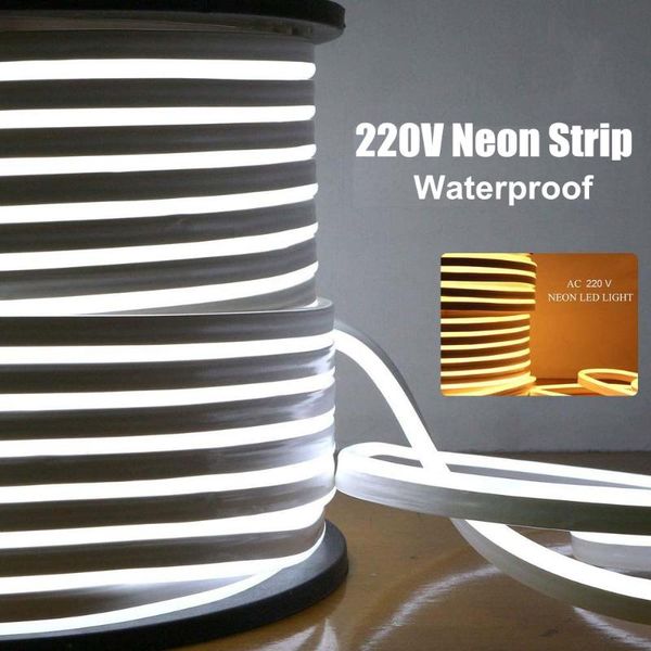 strips eu 220v neon strip waterproof white/warm white 2835 120leds/m ribbon tape flexible led lamp for outdoor garden decoration
strips eu 220v neon strip waterproof white/warm white 2835 120leds/m ribbon tape flexible led lamp for outdoor garden decoration