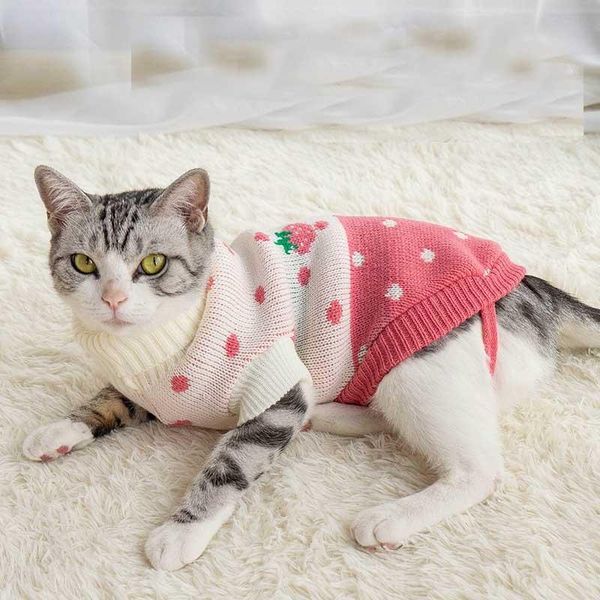 cat costumes 2021 pet clothes autumn winter fruit print sweater washable warm knitting dog vest supplies
cat costumes 2021 pet clothes autumn winter fruit print sweater washable warm knitting dog vest supplies