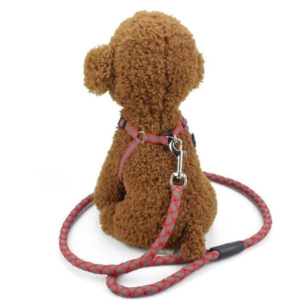 dog collars & leashes durable nylon reflective harness leash lead set for medium large dogs puppy chihuahua yorkie
dog collars & leashes durable nylon reflective harness leash lead set for medium large dogs puppy chihuahua yorkie