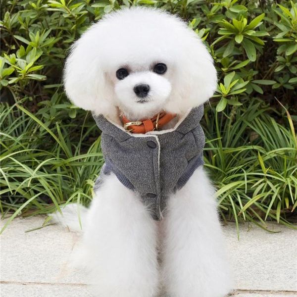 dog apparel cotton clothes winter warm hooded coat jackets for chihuahua pug outfits puppy cat clothing
dog apparel cotton clothes winter warm hooded coat jackets for chihuahua pug outfits puppy cat clothing