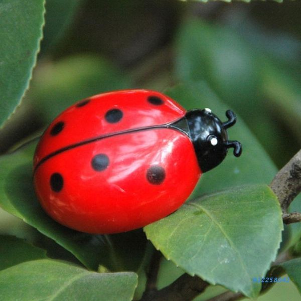 cat toys teaser interactive pet beetle cicada auto electric walking insect mini supplies
cat toys teaser interactive pet beetle cicada auto electric walking insect mini supplies