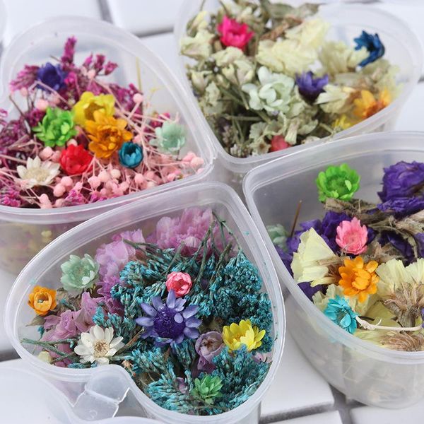 real pressed flower leaf dried daisy resin dry beauty nail art decals epoxy mold heart box decorative flowers & wreaths
real pressed flower leaf dried daisy resin dry beauty nail art decals epoxy mold heart box decorative flowers & wreaths