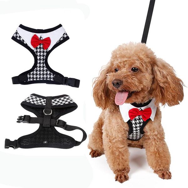 dog collars & leashes red bow tie black leash adjustable soft breathable cat control harness set nylon for pet puppy collar chest strap
dog collars & leashes red bow tie black leash adjustable soft breathable cat control harness set nylon for pet puppy collar chest strap