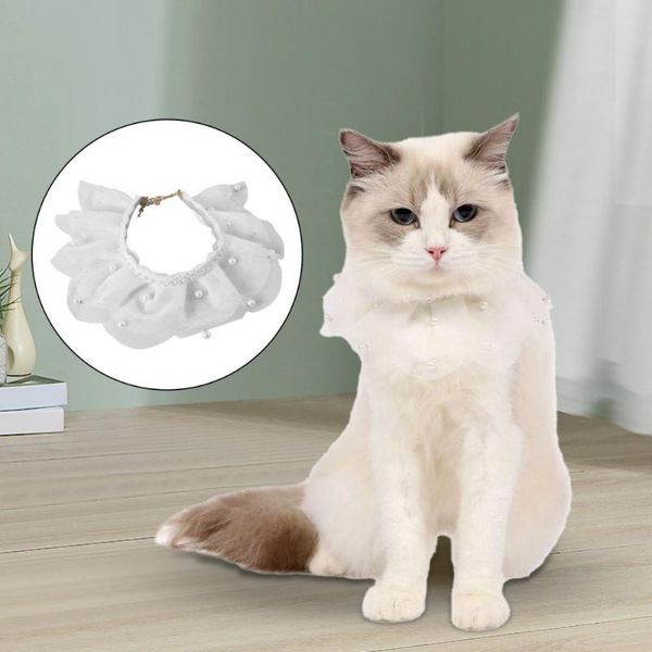 cat collars & leads kitten collar faux pearl decor festival lace pet dog nice-looking
cat collars & leads kitten collar faux pearl decor festival lace pet dog nice-looking