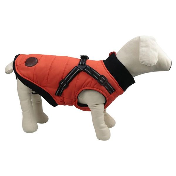 pet cotton coat dog's chest back integrated thickened quilted soft knitted collar gear zipper vest dog apparel
pet cotton coat dog's chest back integrated thickened quilted soft knitted collar gear zipper vest dog apparel