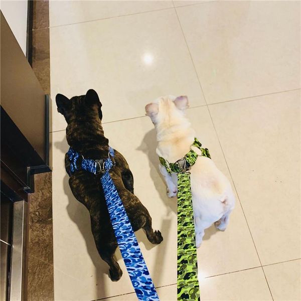leash harness adjustable collar camouflage chest strap harnesses with traction rope dog collars & leashes
leash harness adjustable collar camouflage chest strap harnesses with traction rope dog collars & leashes