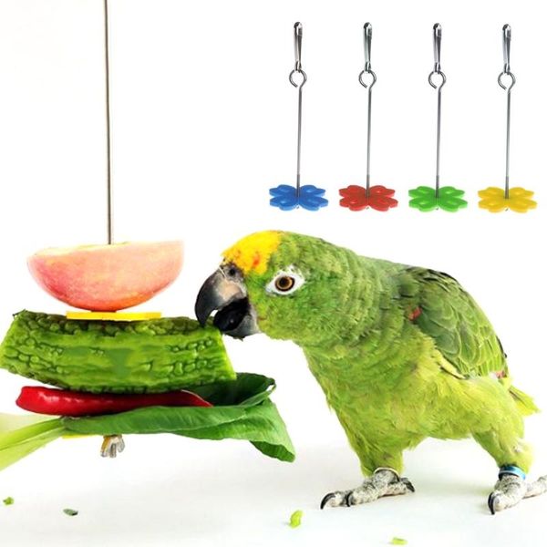 other bird supplies parrot fruit fork feeding birds hang cage stainless steel parakeet skewer 2 size
other bird supplies parrot fruit fork feeding birds hang cage stainless steel parakeet skewer 2 size