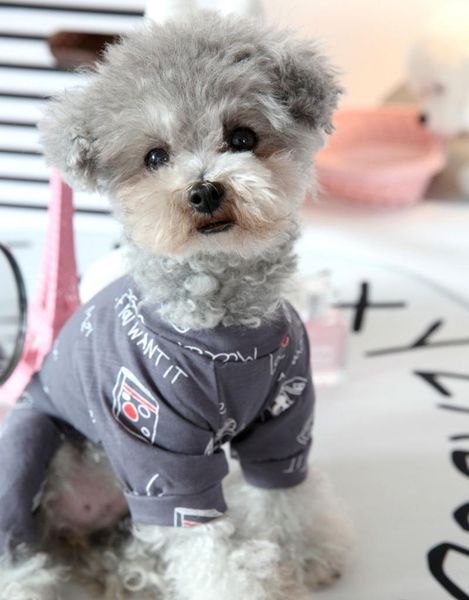 dog apparel clothes spring and autumn teddy one piece summer thin pajamas home small pet products
dog apparel clothes spring and autumn teddy one piece summer thin pajamas home small pet products