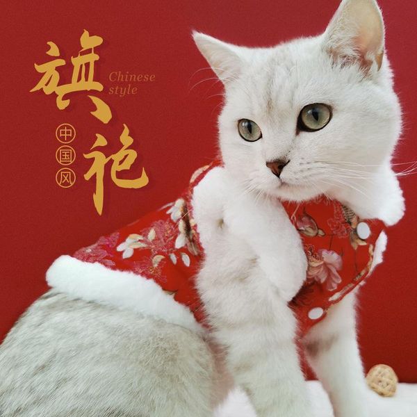 cat clothes year festive dogs winter clothing season thicken autumn and tang suit year's eve small costumes
cat clothes year festive dogs winter clothing season thicken autumn and tang suit year's eve small costumes