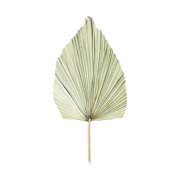 other home decor 1 pc dried palm leaves natural durable pu fan diy art ornament wall pography props for wedding party
other home decor 1 pc dried palm leaves natural durable pu fan diy art ornament wall pography props for wedding party