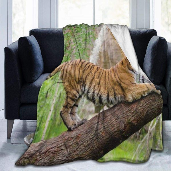 throw blanket for kids teens adults animal wild tiger black and yellow stripes tiger half squat on tree looking up forest all
throw blanket for kids teens adults animal wild tiger black and yellow stripes tiger half squat on tree looking up forest all