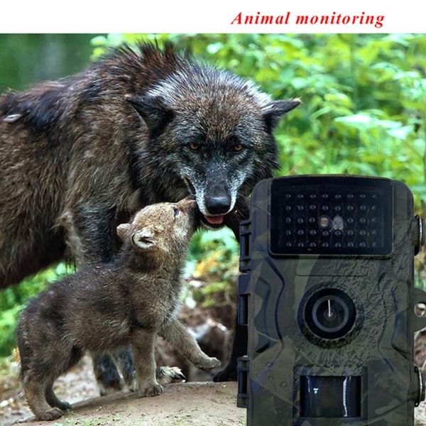 cameras military green outdoor hunting camera 12mp 1080p 0.8s trigger speed waterproof wildlife for
cameras military green outdoor hunting camera 12mp 1080p 0.8s trigger speed waterproof wildlife for