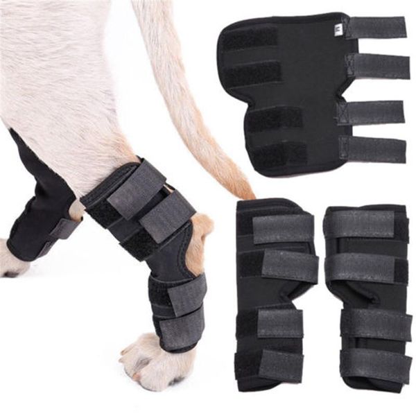 dogs brace rehab knee dog leg protector pet pads support for injury car seat covers
dogs brace rehab knee dog leg protector pet pads support for injury car seat covers