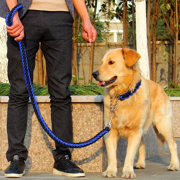 dog collars & leashes leash harness and set pet products supplies walking dogs chain belt walker accesorios para perros
dog collars & leashes leash harness and set pet products supplies walking dogs chain belt walker accesorios para perros