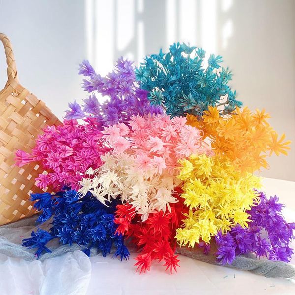decorative flowers & wreaths preserved plants multicolor dried octagonal bouquet home decor ornaments wedding decoration accessories shootin 
decorative flowers & wreaths preserved plants multicolor dried octagonal bouquet home decor ornaments wedding decoration accessories shootin
