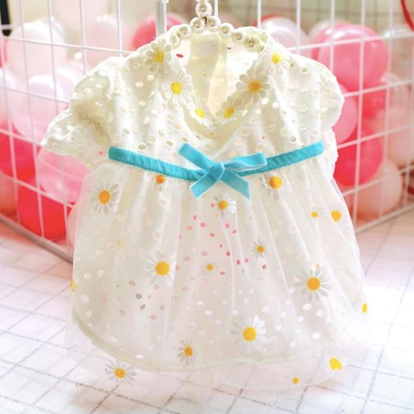 lovely summer pet dog cat cooling skirt small princess dress kawaii puppy kitten clothes clothing beautiful costumes
lovely summer pet dog cat cooling skirt small princess dress kawaii puppy kitten clothes clothing beautiful costumes
