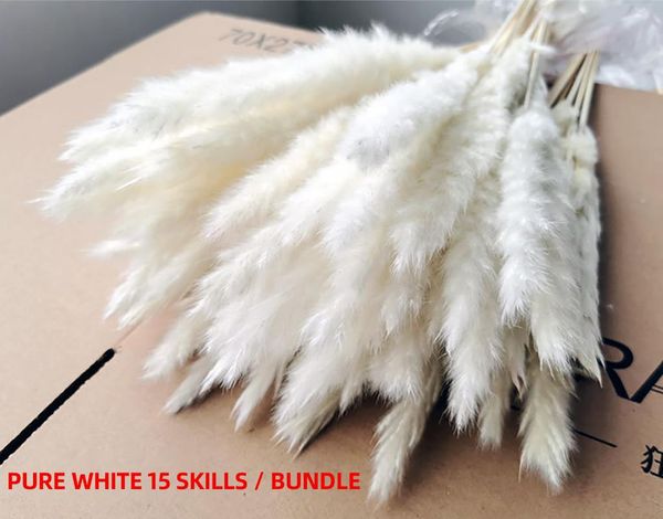 15pcs/bunch dried small pampas grass flowers natural para decoracion real plants home decor wedding decoration decorative & wreaths
15pcs/bunch dried small pampas grass flowers natural para decoracion real plants home decor wedding decoration decorative & wreaths