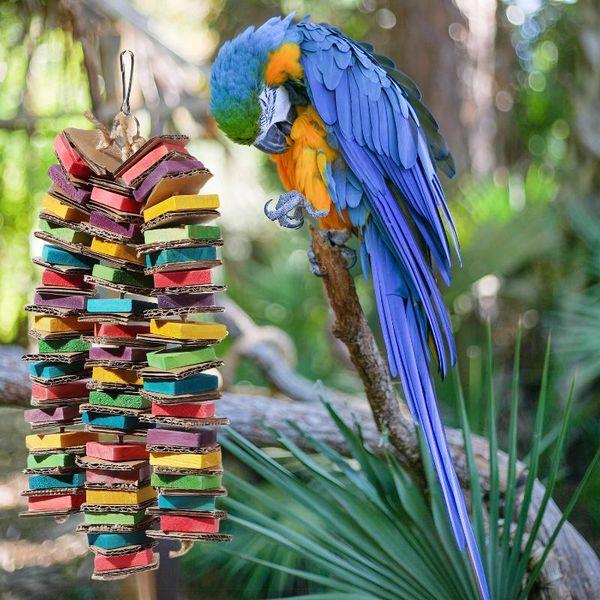 other bird supplies lovers natural wooden parrot food pet parakeet toys cage cockatiel bauble chewing
other bird supplies lovers natural wooden parrot food pet parakeet toys cage cockatiel bauble chewing
