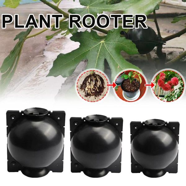 2pcs plant root growing box grafting growth cultivation high pressure cutting rooting garden supplies planters & pots
2pcs plant root growing box grafting growth cultivation high pressure cutting rooting garden supplies planters & pots