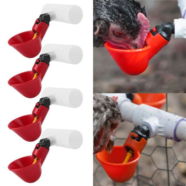 other bird supplies 4pc chicken hanging cup drinking fountains birds water bowl drinker cups for backyard flock automatic poultry #42
other bird supplies 4pc chicken hanging cup drinking fountains birds water bowl drinker cups for backyard flock automatic poultry #42