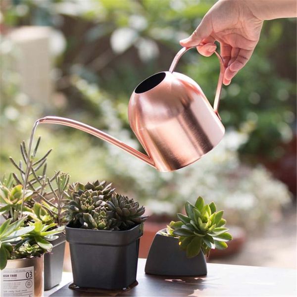 watering equipments 500ml can garden flower kettle indoors portable plant long spout irrigation bottle stainless steel pot bonsai sprinkler
watering equipments 500ml can garden flower kettle indoors portable plant long spout irrigation bottle stainless steel pot bonsai sprinkler