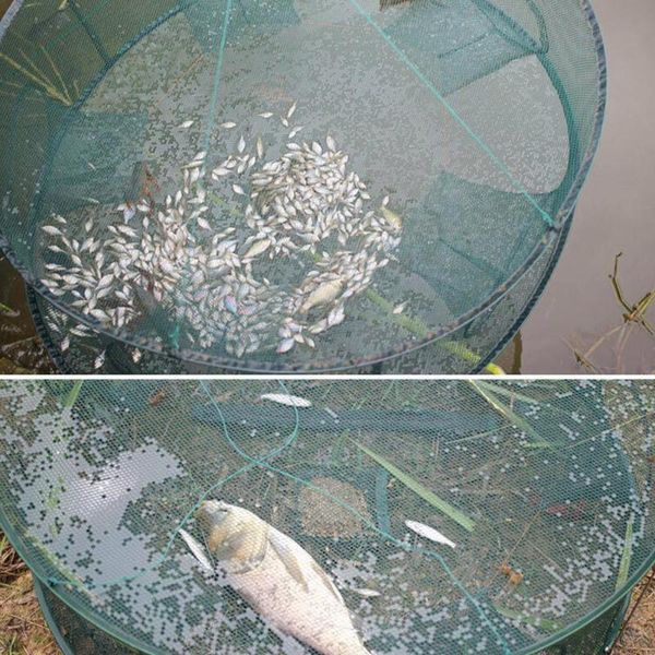 fishing accessories automatic net round shape trap cage open for crab lobster use crayfish to easy f1v8
fishing accessories automatic net round shape trap cage open for crab lobster use crayfish to easy f1v8