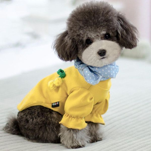 dog apparel spring cotton chihuahua sweater pet clothes for small dogs pets clothing cute yorkshire poodle costume puppy tshirt
dog apparel spring cotton chihuahua sweater pet clothes for small dogs pets clothing cute yorkshire poodle costume puppy tshirt